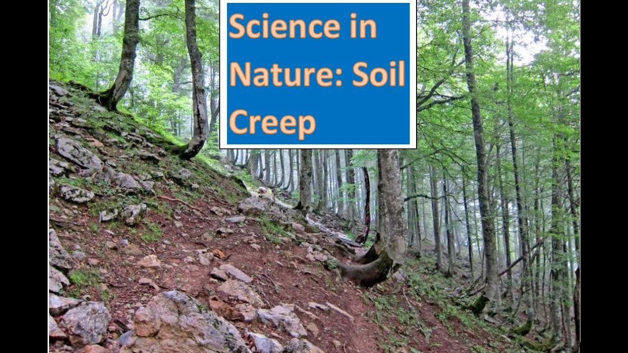 Science in Nature: Soil Creep