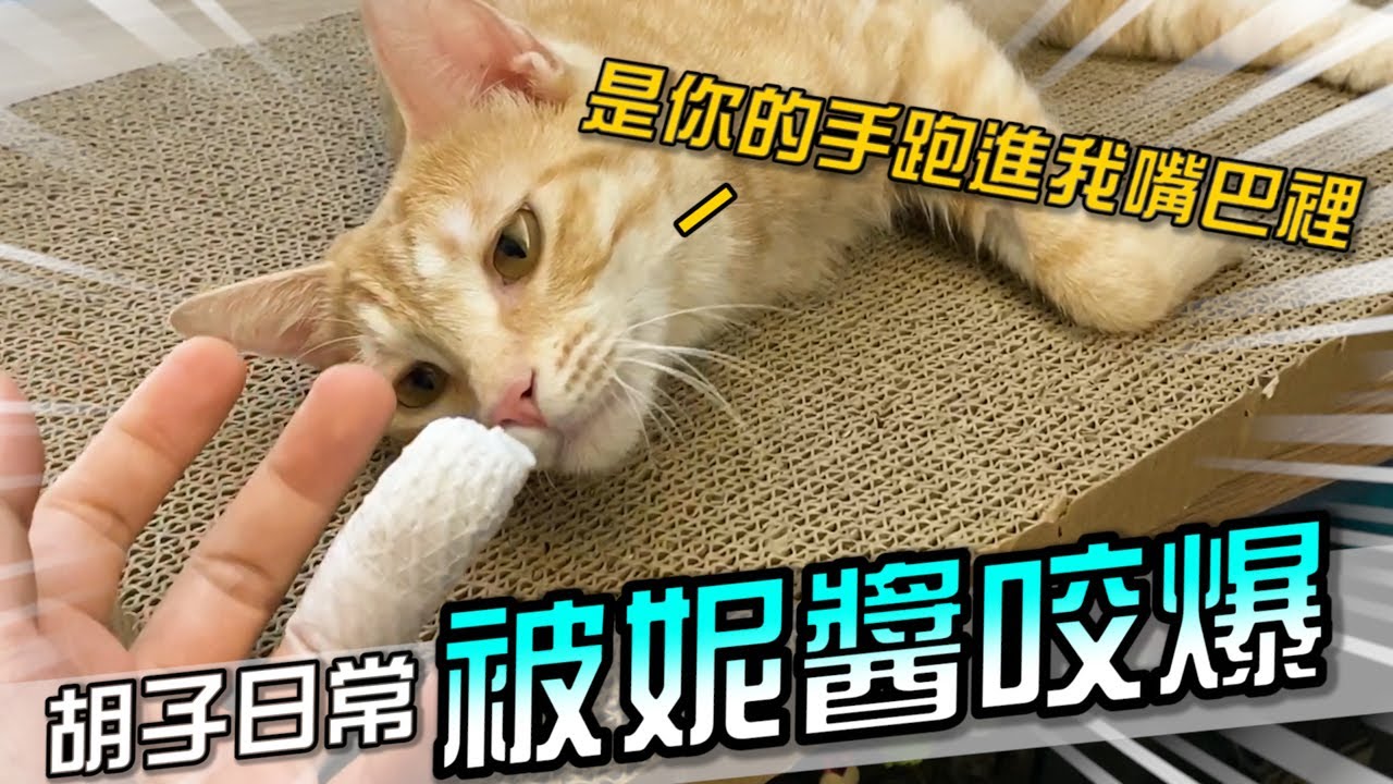 我被妮醬咬爆了…【胡子Life】