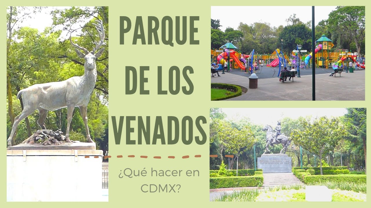 Visitando el Parque de los venados | &iquest;Qu&eacute; hacer en CDMX?