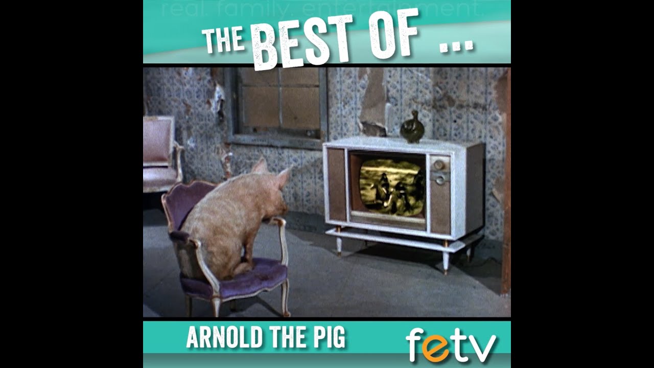 The Best of Arnold the Pig | Green Acres
