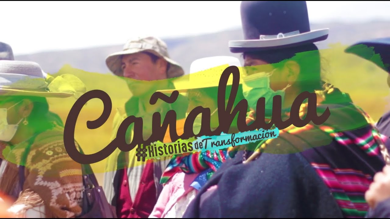 #HistoriasdeTransformación: Cañahua (Jesús de Machaca, Bolivia)