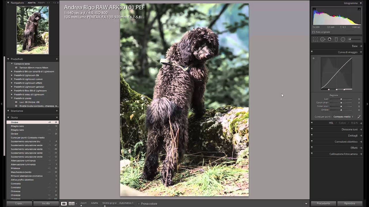 Sviluppa questo RAW 43