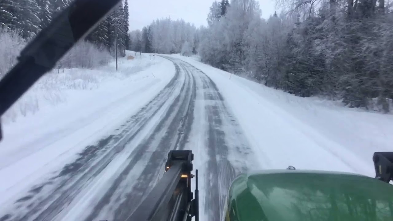 Lauantain juttuja  ja jyviä kanoille