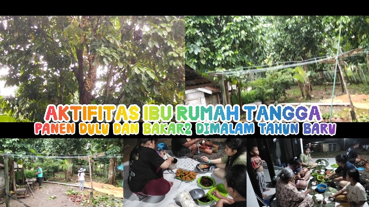 Aktifitas ibu rumah tangga diakhir tahun 2025 || panen dulu || bakar2 di malam tahun baru 2026