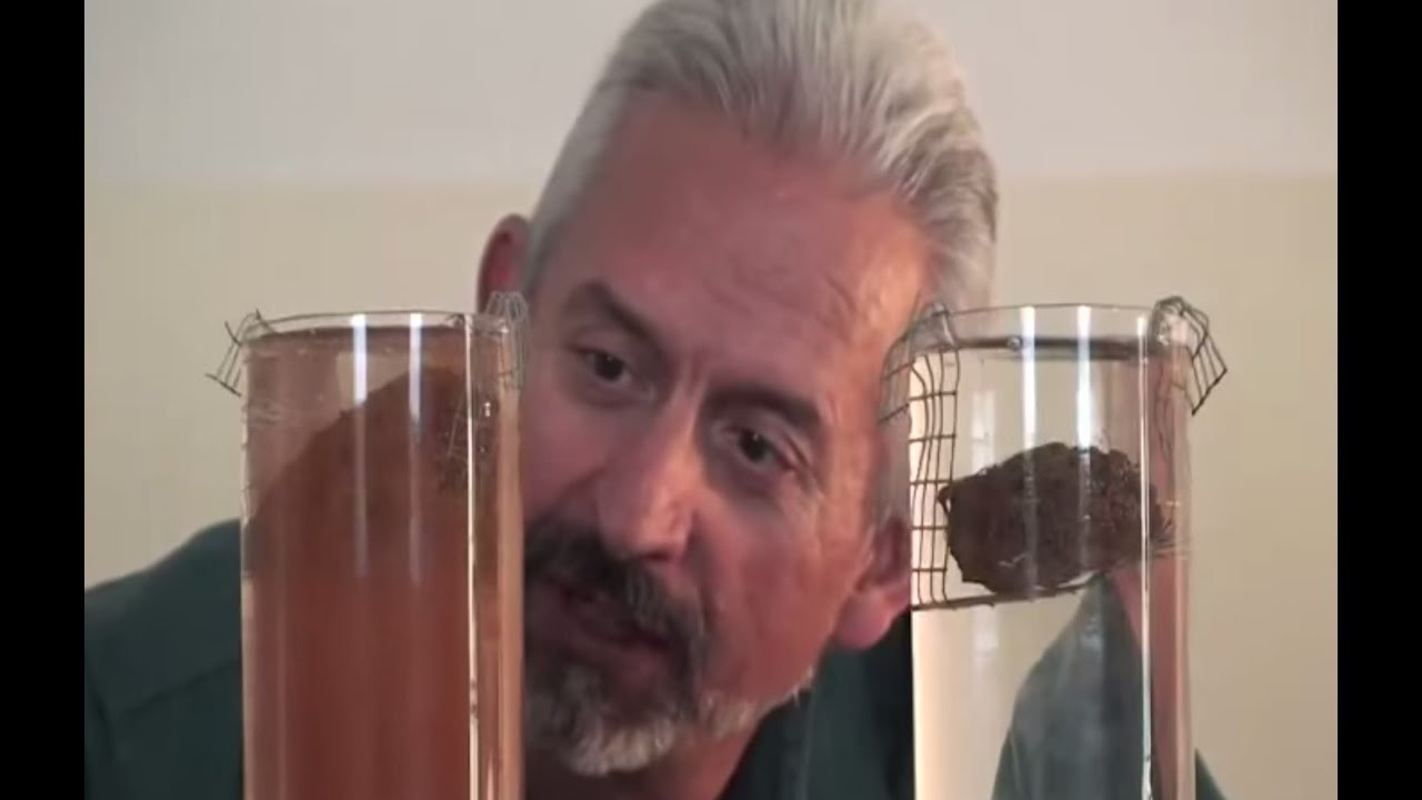 Soil health lessons in a minute: soil stability test