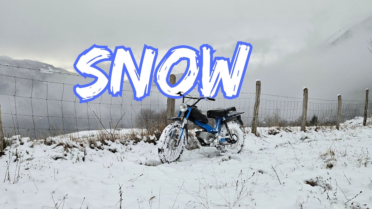 Tomos on snow