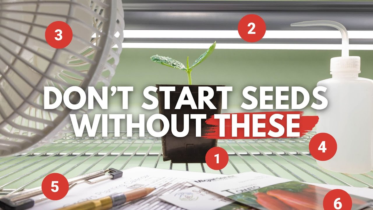 The PERFECT Indoor Seed Starting Setup | Seed Starting for Beginners