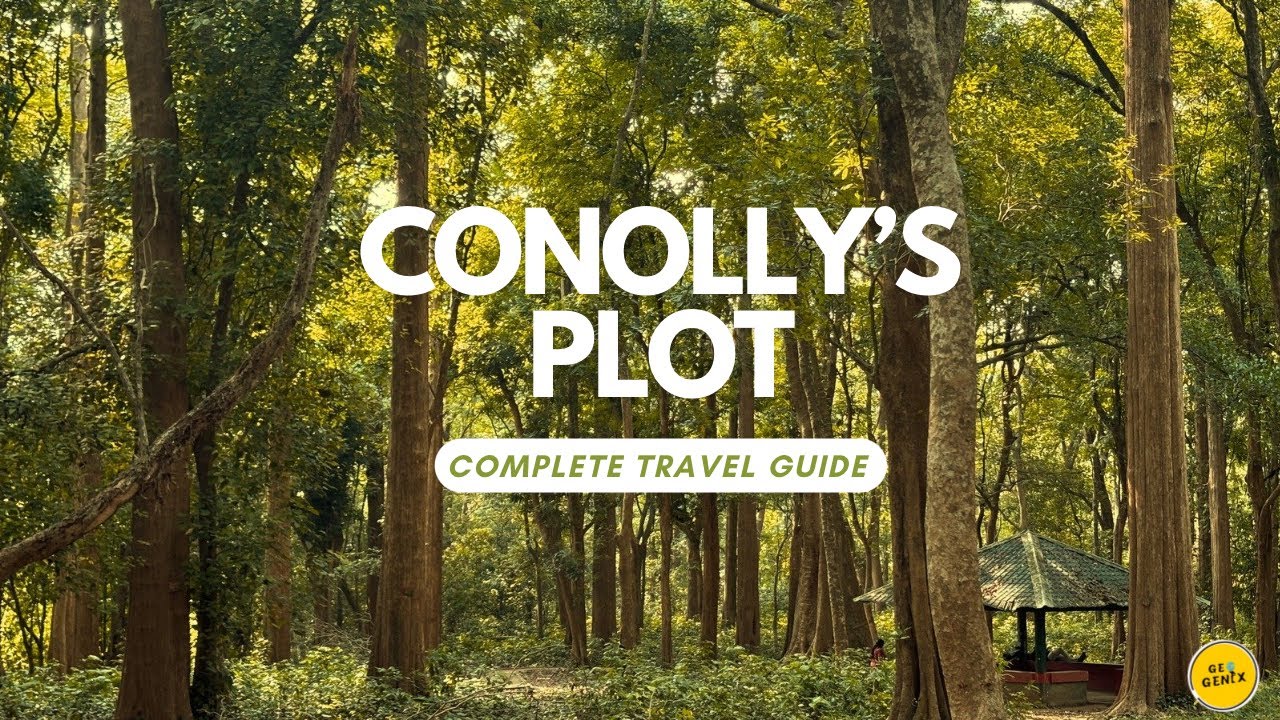 Conolly’s plot