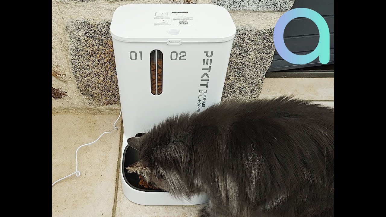 #Test PetKit Yum Share Dual-Hopper : la Rolls des distributeurs de croquettes connectés