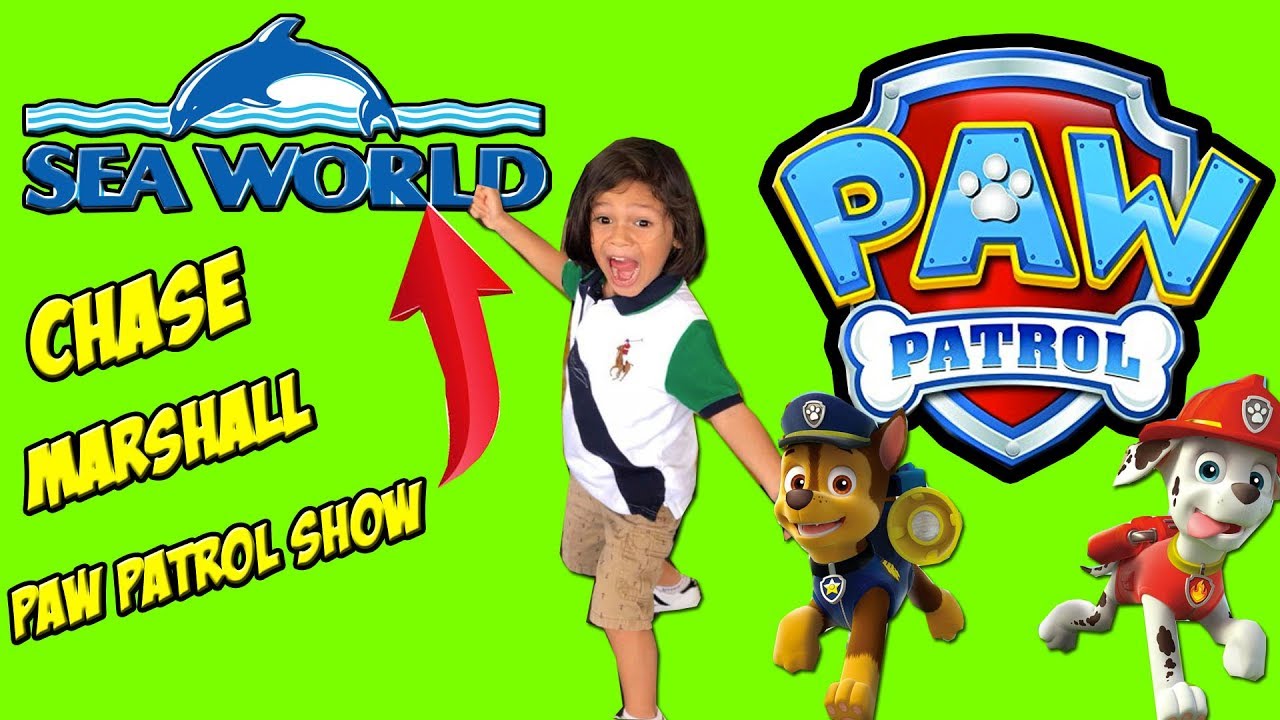 Paw Patrol  Chase and Marshal Seaworld https://www.facebook.com/Francescos-Toy-Room-275886556276264/