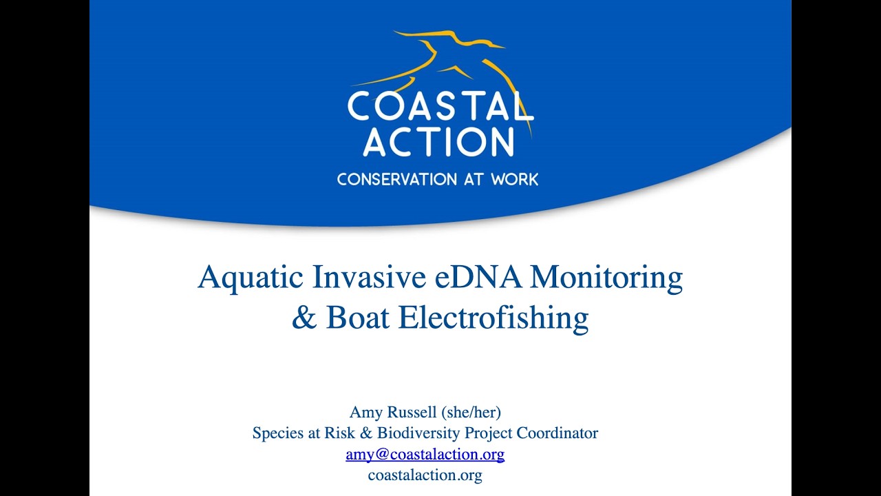 Amy Russell | Coastal Action | 2026 Nova Scotia Invasive Species Forum