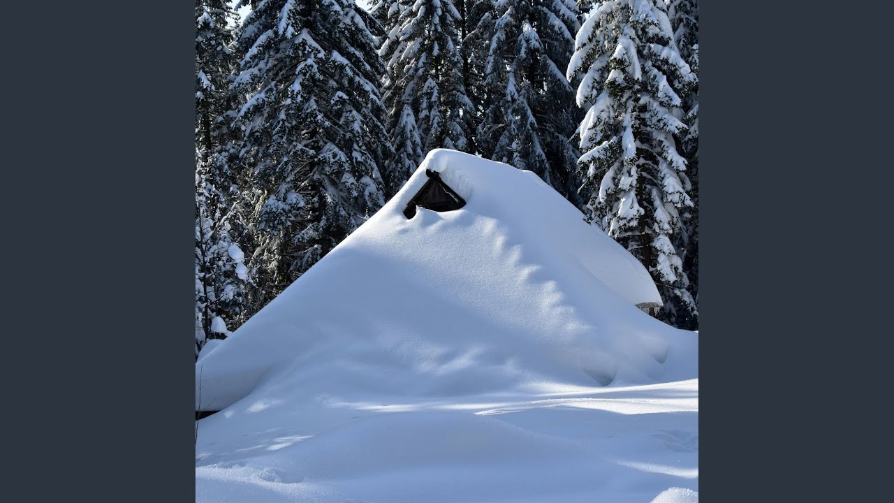 Relaxing Sounds Of Blizzard Forest