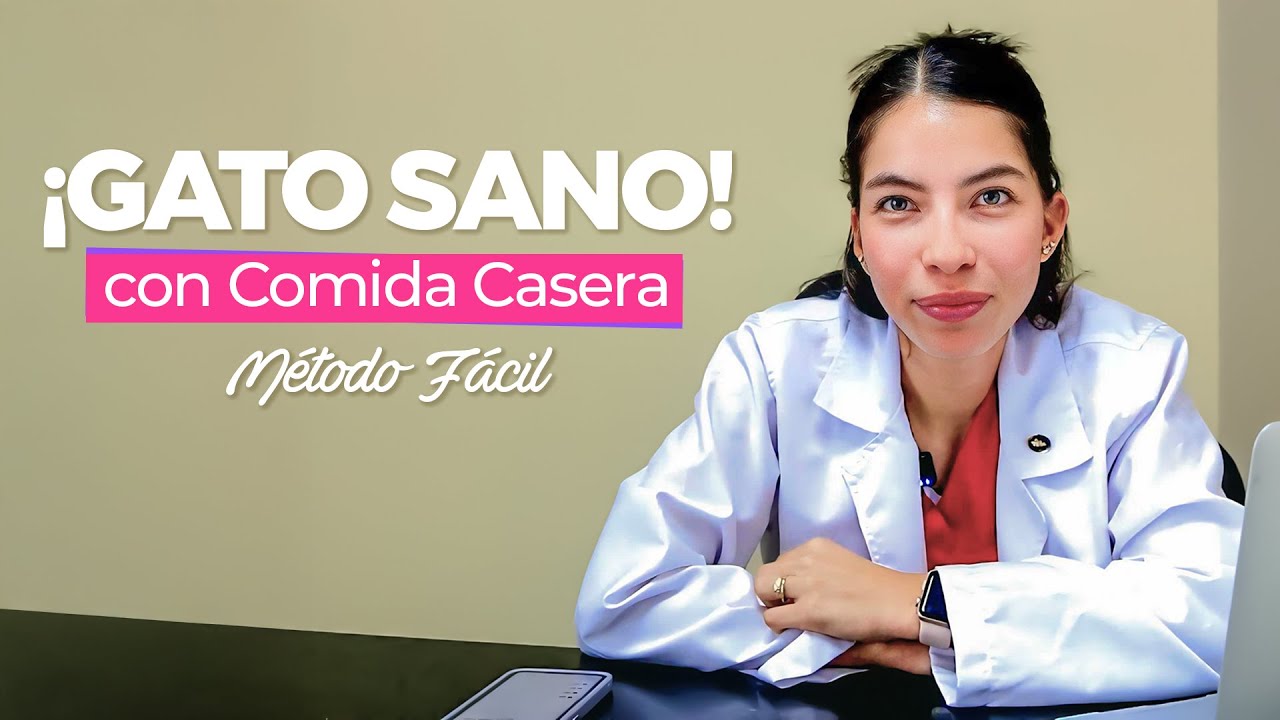 Comida Casera para Gatos: ¡El Secreto para un Gato Sano! (Método Todo Cocinado Fácil)