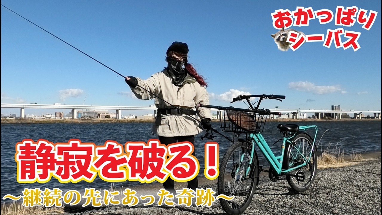 【釣り】おかっぱりシーバス！Myルーティンを継続した先にあった奇跡の瞬間