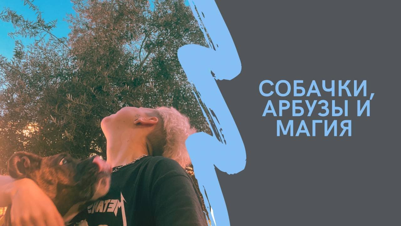 СОБАКИ ЕДЯТ АРБУЗЫ | УЛИЧНАЯ МАГИЯ ИЛИ КАК ИЗБАВИТЬСЯ ОТ МУХ
