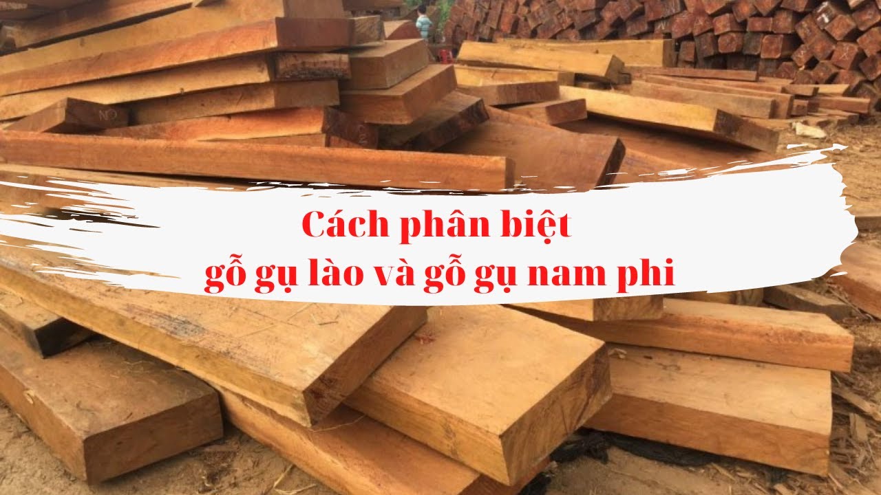 Hướng Dẫn Phân Biệt Gỗ Gụ Lào Và Gỗ Gụ Nam Phi (Gỗ Dâu) | Đồ Gỗ Minh Long