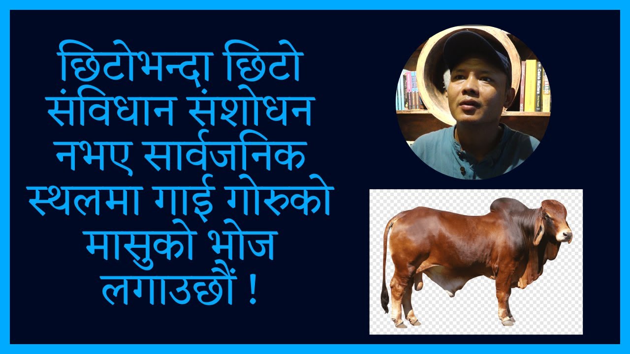 Beef || Organic Beef || Nepalese Beef || Cow || Ox || History Of Beef || Hindu || Muktan Theba ||