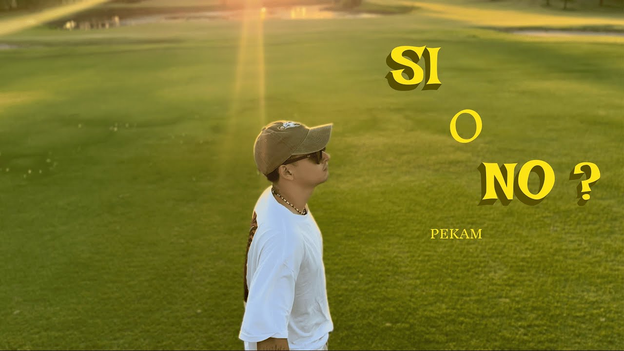 Si o No? - Pekam 🤨