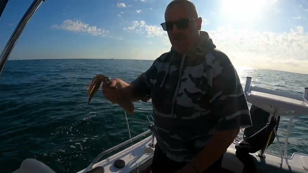 St Leonards Squid & Whiting 9/3/26