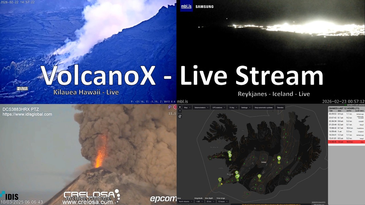 DrFox2000  - VolcanoX Live Stream Recording February 22, 2026 part 2