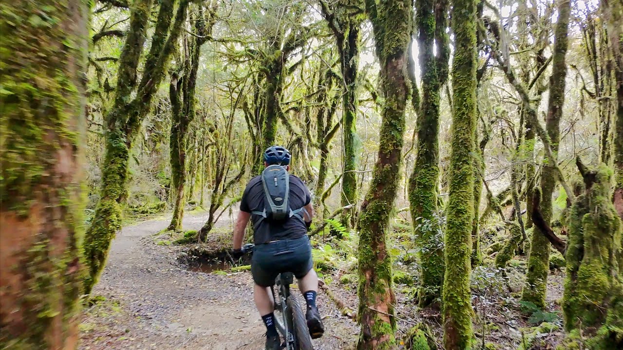 TIMBER TRAIL - NZ | Shot on DJI Neo & DJI Action Pro 5