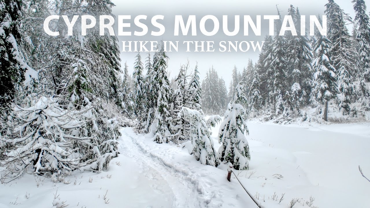 Peaceful Winter Hike at Cypress Mountain: Winter Magic Above Vancouver