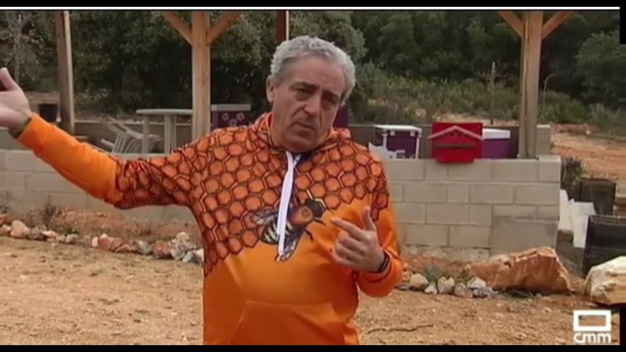En Profundidad: C&oacute;mo afecta la sequ&iacute;a a la Apicultura - Castilla La Mancha