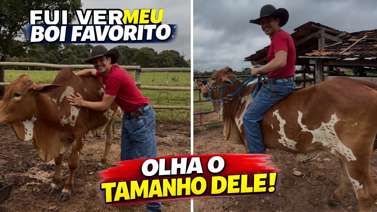 O REENCONTRO MAIS ESPERADO🤠