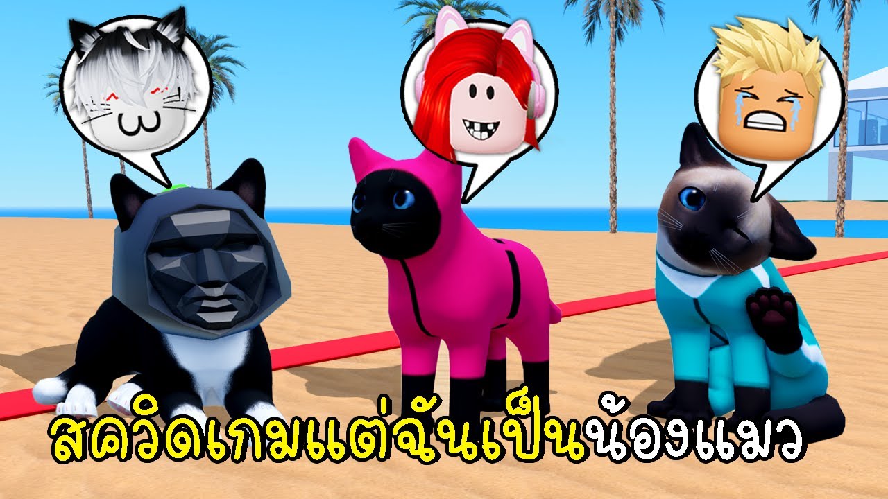 พี่ฝนพี่เอกปุ๊กปิ๊ก เล่นสควิดเกมแต่พวกเราเป็นน้องแมว 🐾 Kitten Squid Game Roblox