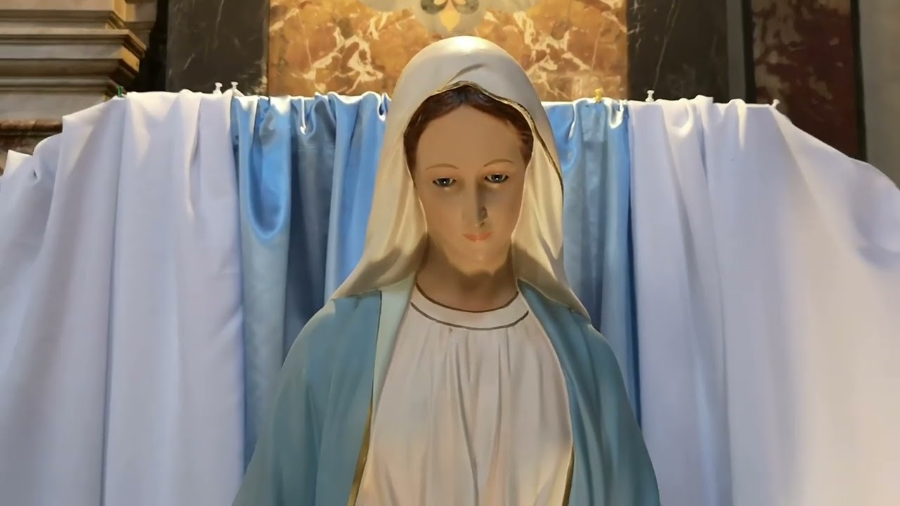 *El Ángelus  /  Enero  28 - 2026*