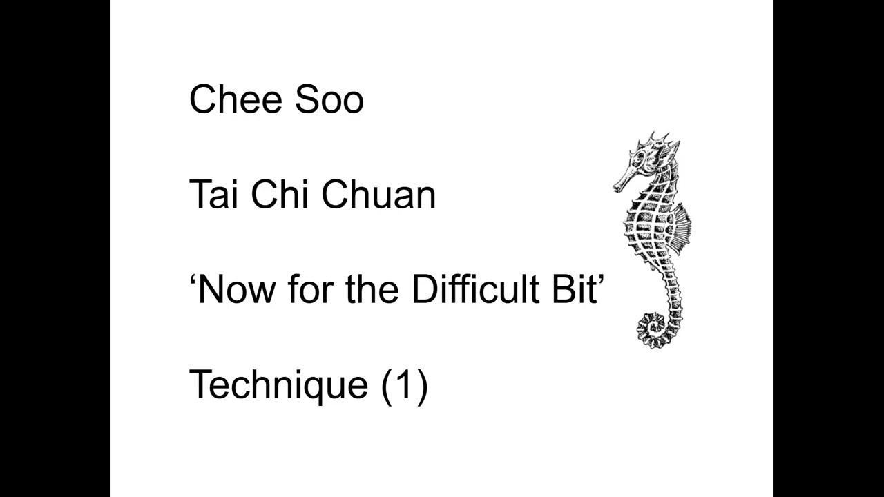 Chee Soo:  Tai Chi Chuan  'Now for the Difficult Bit'  Technique (1)