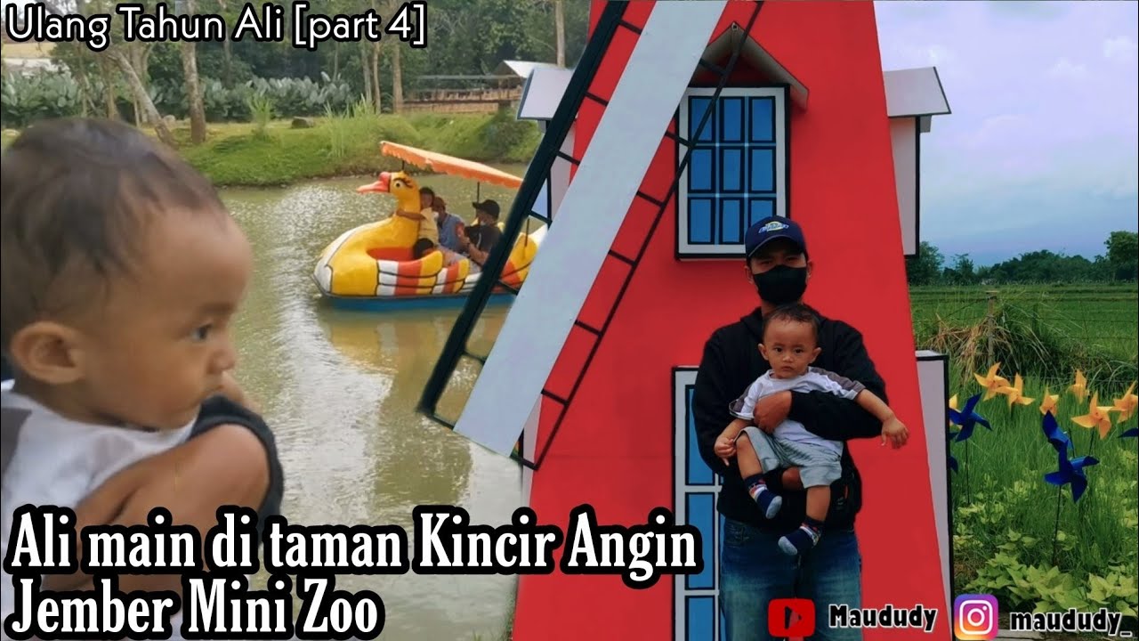 Ali main di taman Kincir Angin Jember Mini Zoo | Ulang Tahun Ali [part 4]