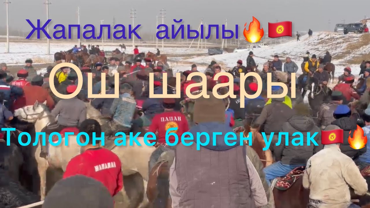1-Болум .Жапалак айылы, Ош шаары, Тологон аке берген аламан улак🇰🇬🔥