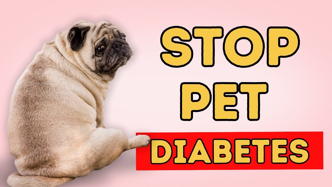 Diabetes No More? Stop Insulin With These Simple Steps
