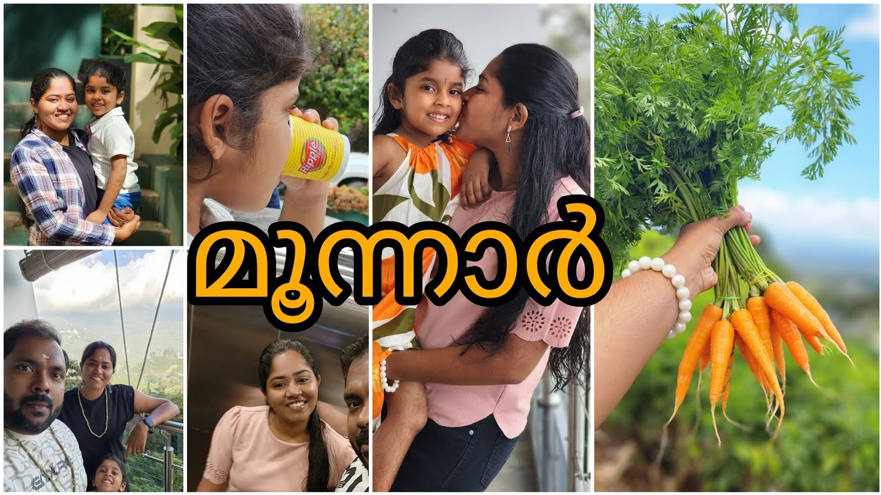 MUNNAR 2024🥰 | Amber dale | Best stay in Munnar | Day 2