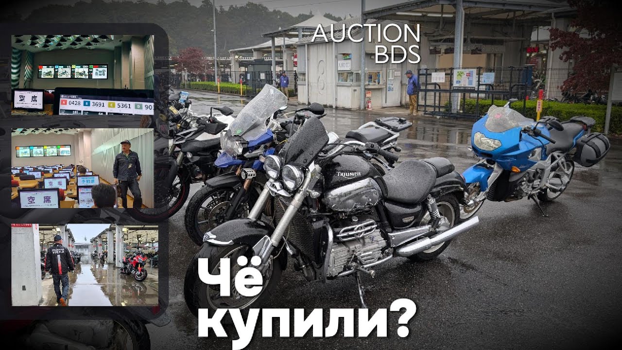 Чё купили? (31 октября) Торги из зала.