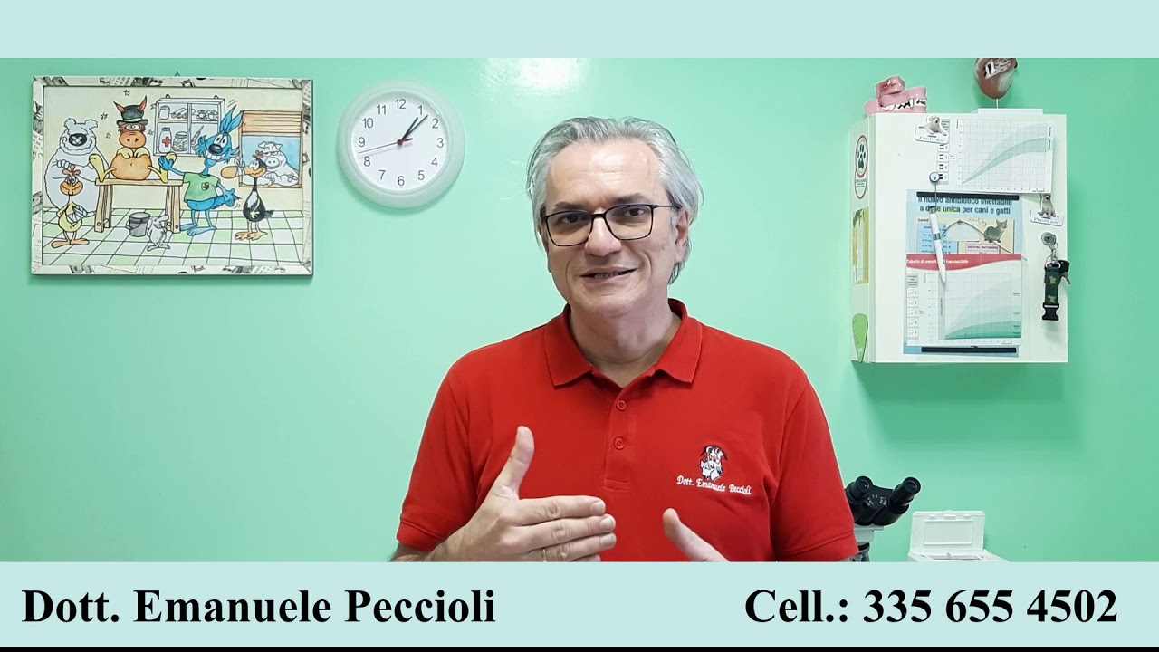 Dott. Emanuele Peccioli - Come gestire la gravidanza isterica