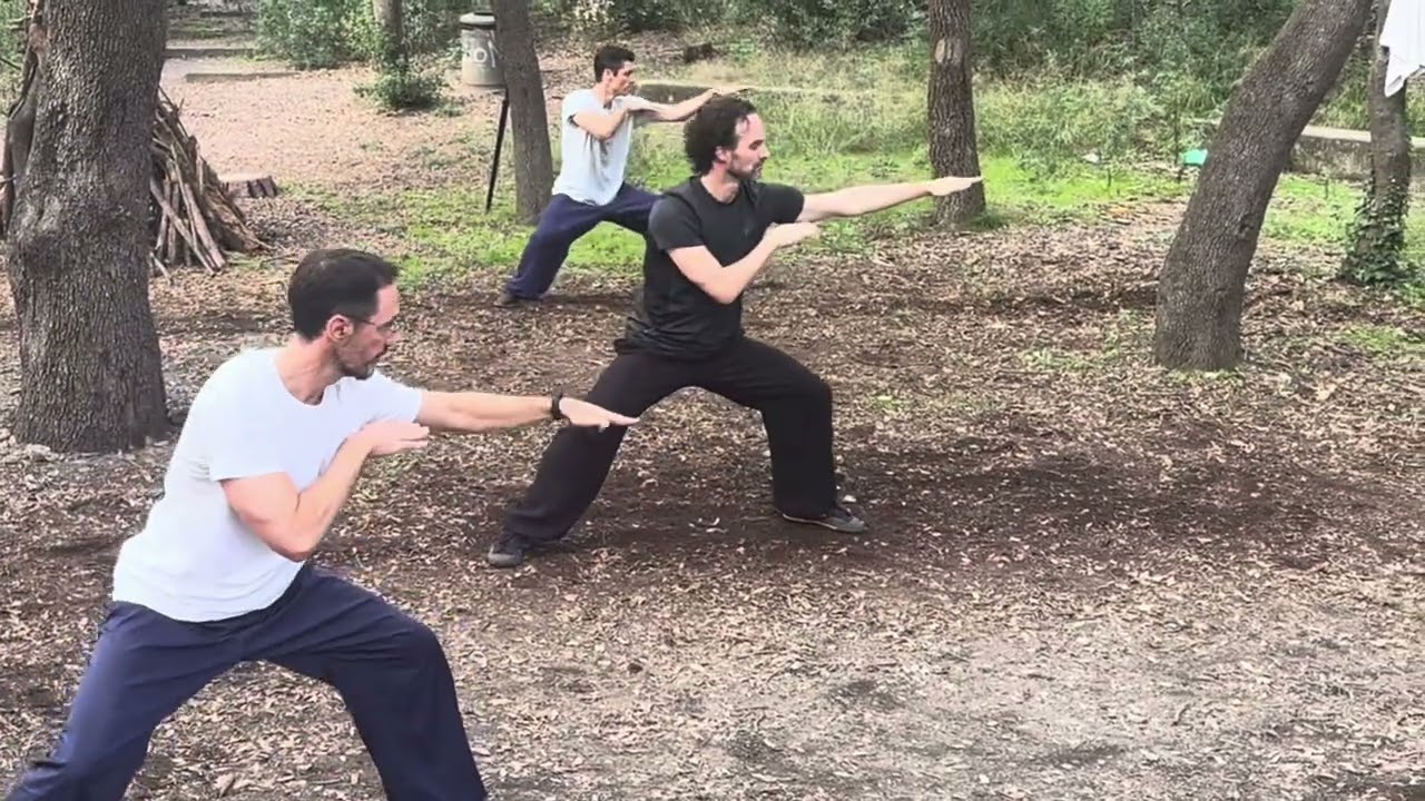 Wudang Snake Kung Fu (She Quan) Workshop