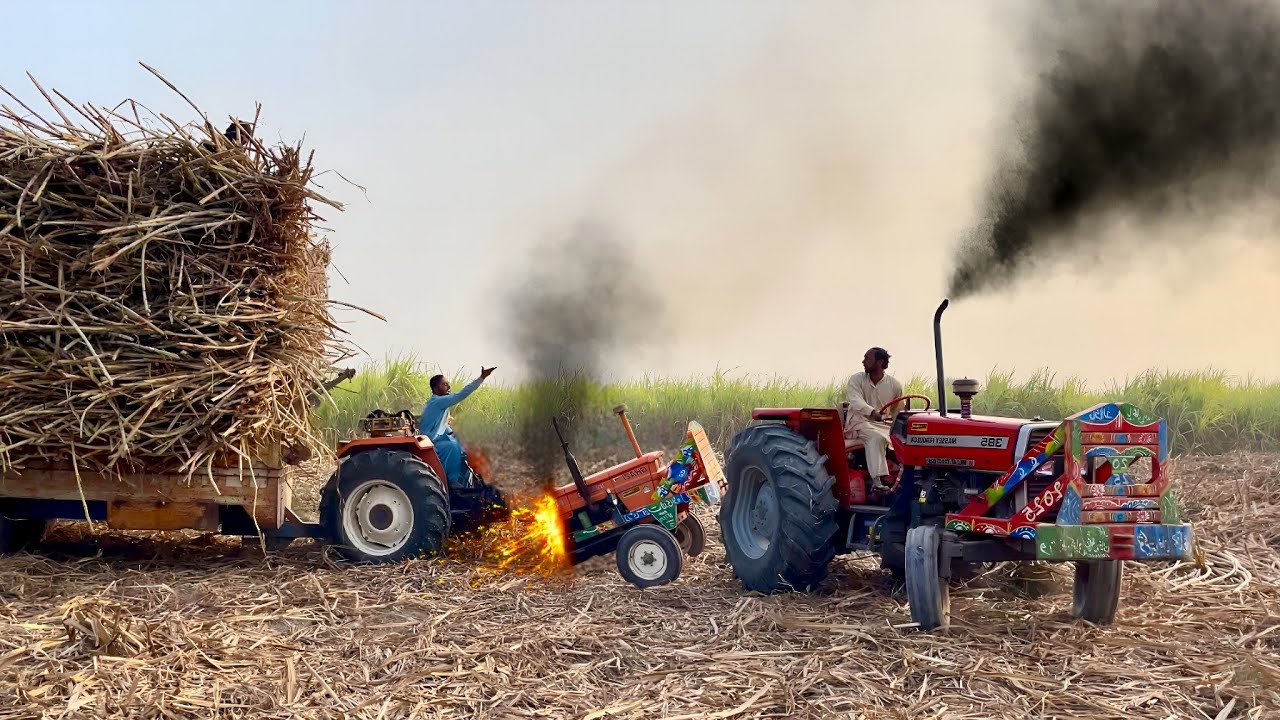 Mf 385 tractor amazing power | alghazi tractor pulling sugarcane trolley 