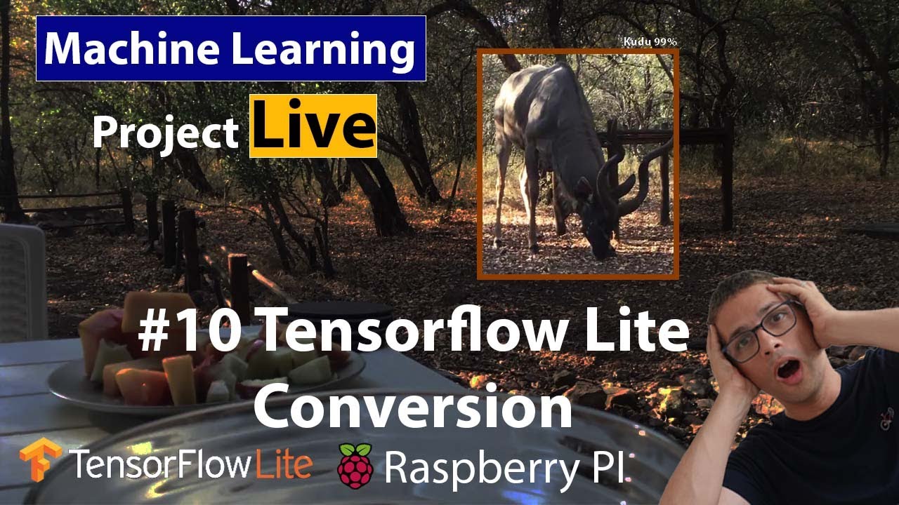 #10 Live-кодинг &mdash; Классификация изображений в TensorFlow с использованием трансферного обучения и...