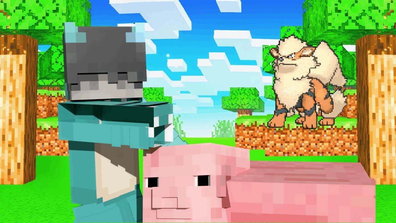 Ich fange 2 gute Pokemon und ziehe um #6