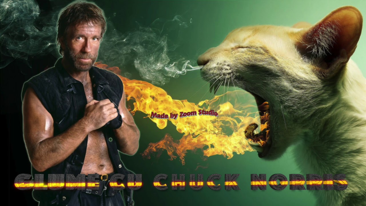 Glume cu Chuck Norris