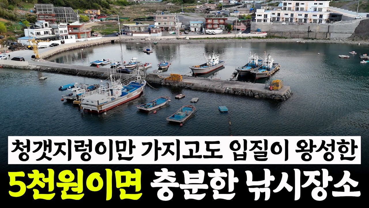 입질 왕성한 조용한 선착장 내항 전체가 포인트!! [박과장TV]