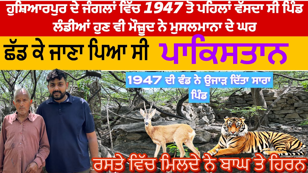 ਹੁਸ਼ਿਆਰਪੁਰ ਦੇ ਜੰਗਲਾਂ ਵਿੱਚ 1947 ਤੋ ਪਹਿਲਾਂ ਵੱਸਦਾ ਸੀ ਪਿੰਡ ਲੰਡੀਆਂ ਹੁਣ ਵੀ ਮੌਜ਼ੂਦ ਨੇ ਮੁਸਲਮਾਨਾ ਦੇ ਘਰ jungal