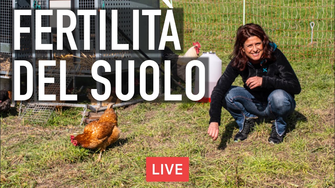 FERTILITÀ DEL SUOLO: IL RUOLO DEGLI ANIMALI. CON EVA EISENREICH 🐓