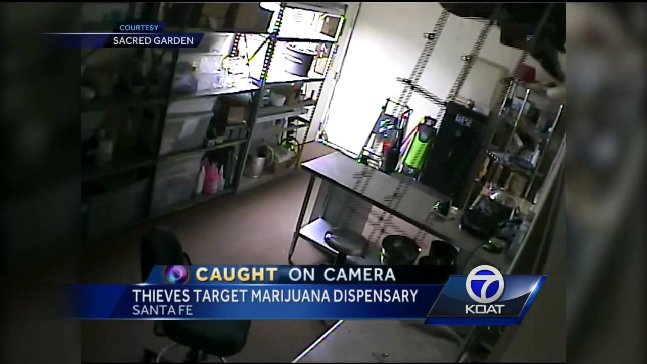 Men enter through skylight in weed dispensary theft