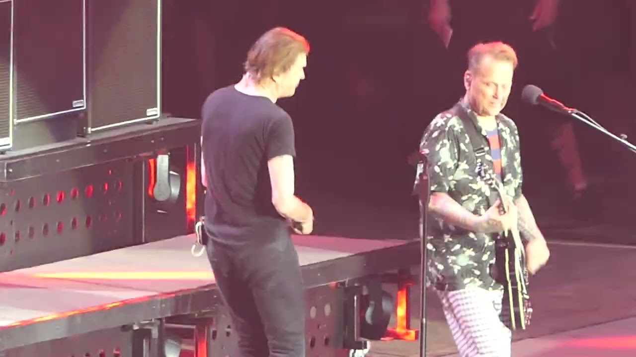 Toten Hosen Wannsee Live in Düsseldorf 2022