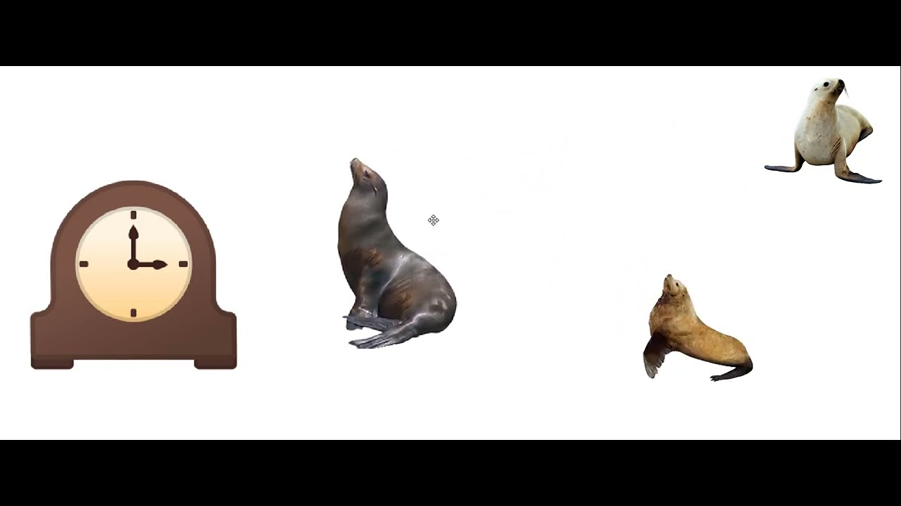 HICKORY DICKORY DOCK sea lions edition