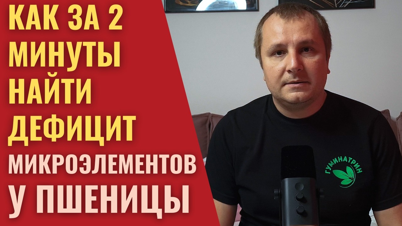 ПШЕНИЦА. Дефицит микроэлементов. Визуальные признаки