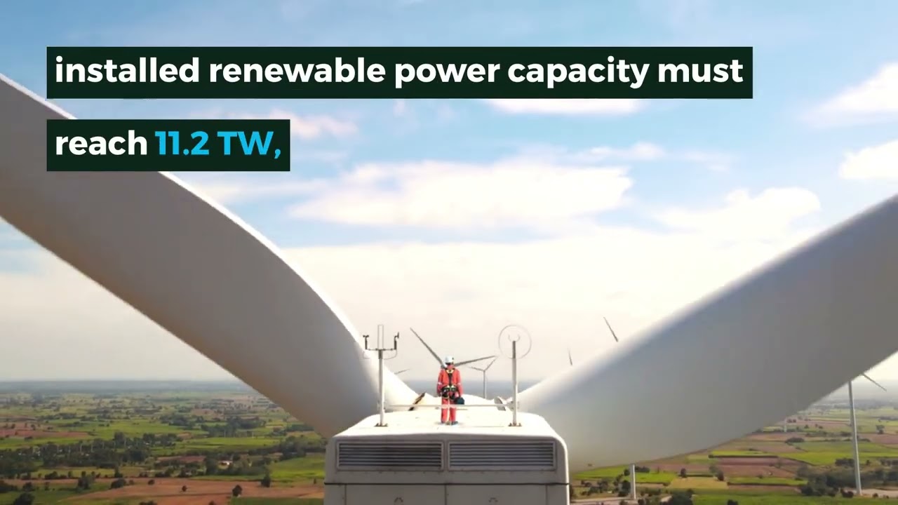Renewable Capacity Statistics 2025